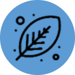 Relevance Only Icon